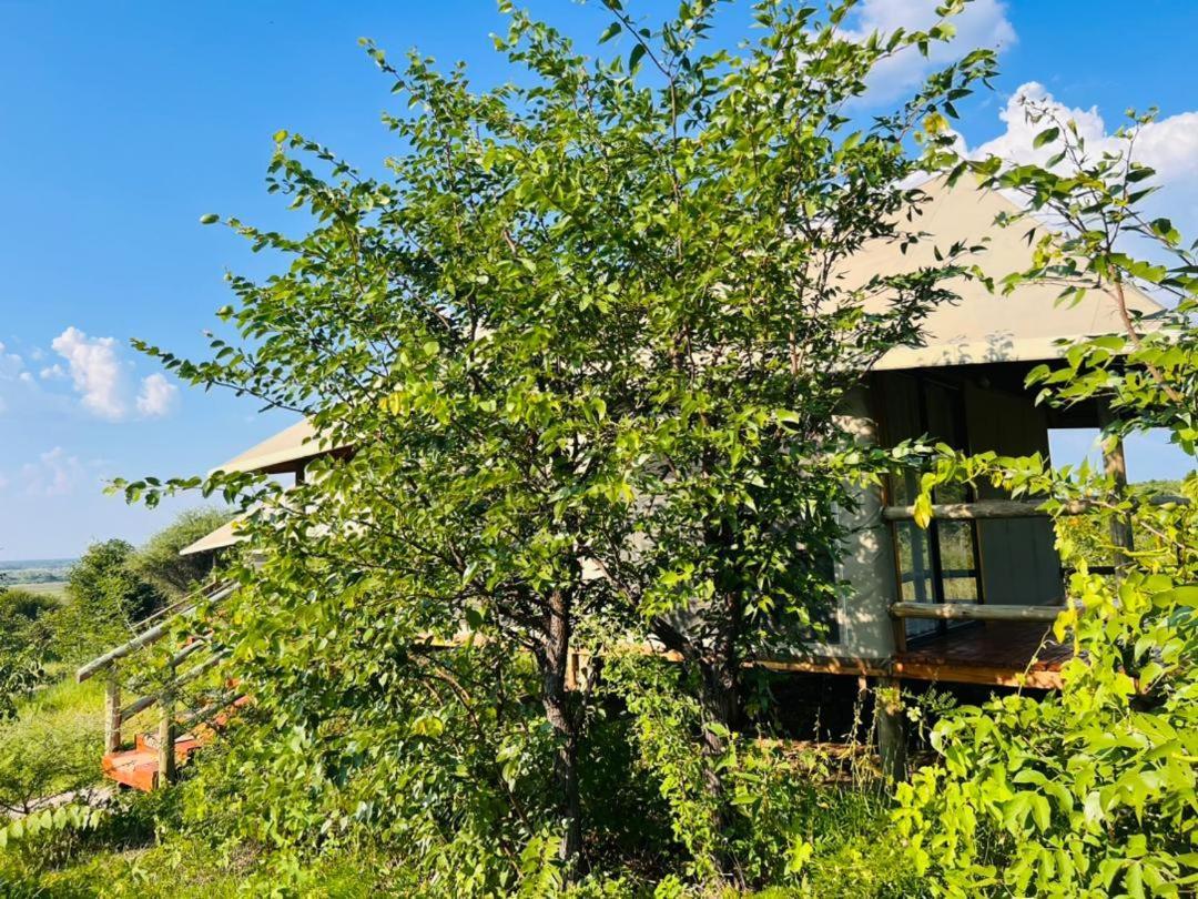 Xhabe Safari Lodge Chobe Muchenje Екстер'єр фото