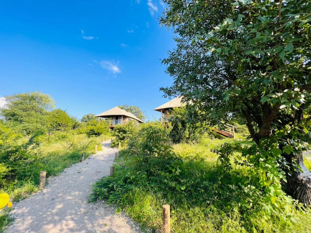 Xhabe Safari Lodge Chobe Muchenje Екстер'єр фото