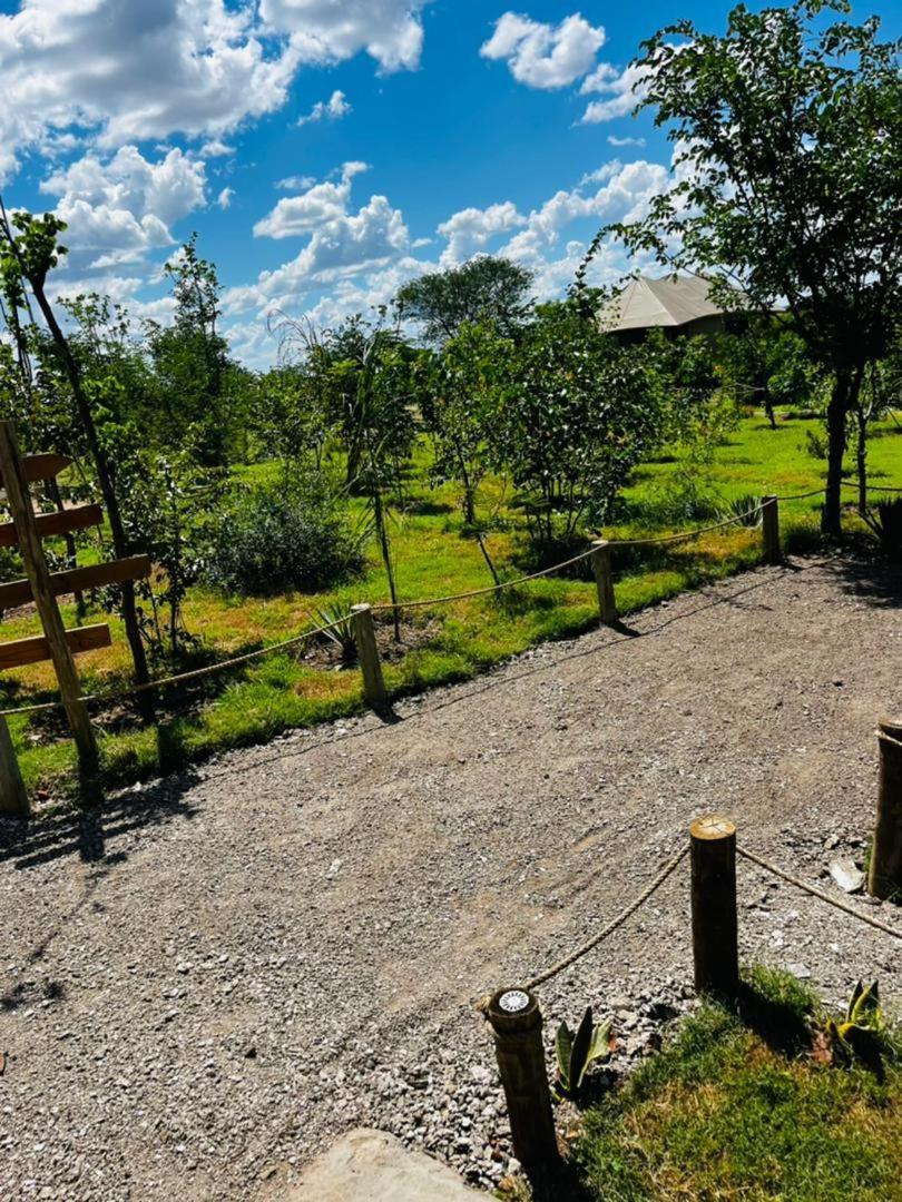 Xhabe Safari Lodge Chobe Muchenje Екстер'єр фото