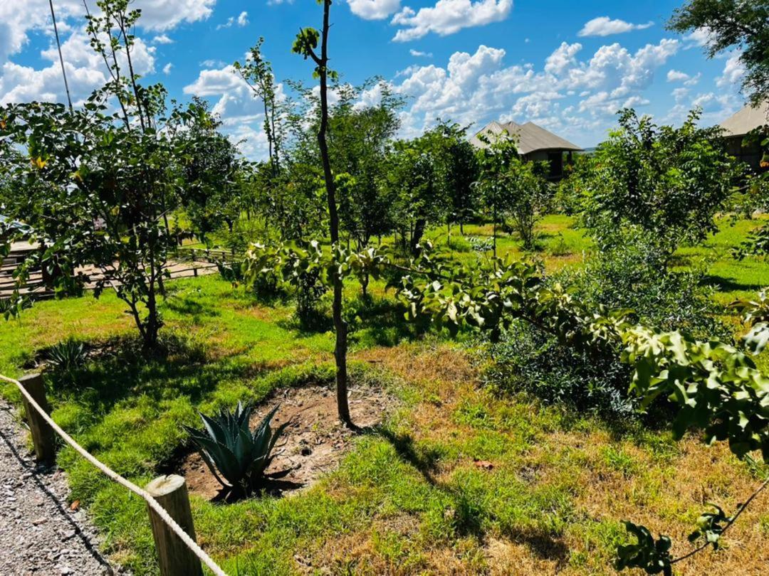 Xhabe Safari Lodge Chobe Muchenje Екстер'єр фото